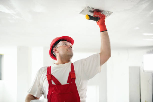 Best HVAC Mold Inspection and Cleaning  in Edneyville, NC
