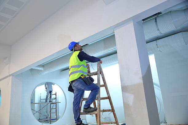 Professional Mold Removal in Edneyville, NC